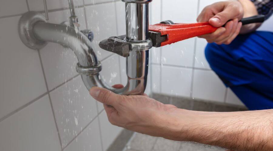 Professional Leak Detection services in De Land, IL